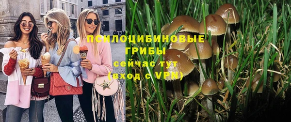 гидра Абдулино