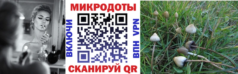 shop формула  Норильск  Галлюциногенные грибы Psilocybine cubensis 